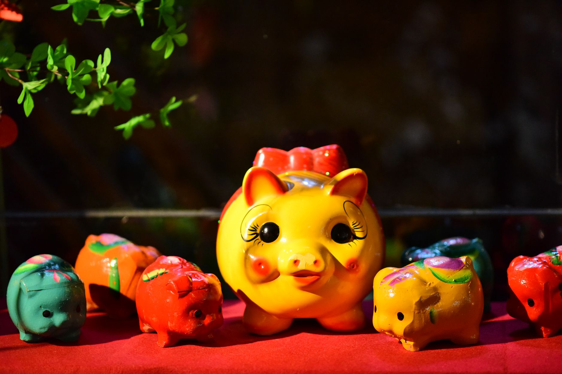 The year of the pig