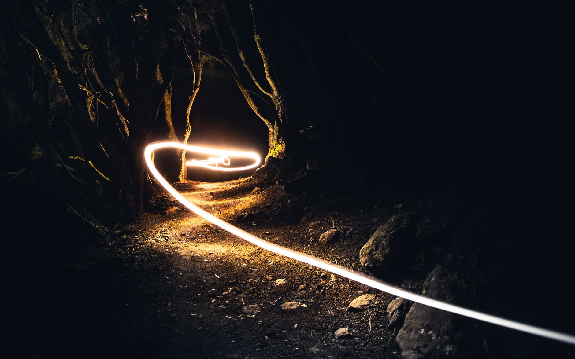 Light streak creates a mystical path through a dark forest adding intrigue and adventure.