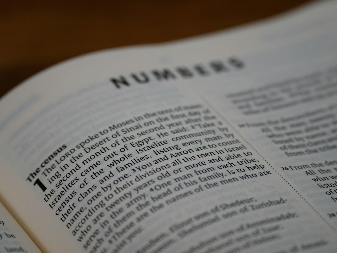 The Book of Numbers